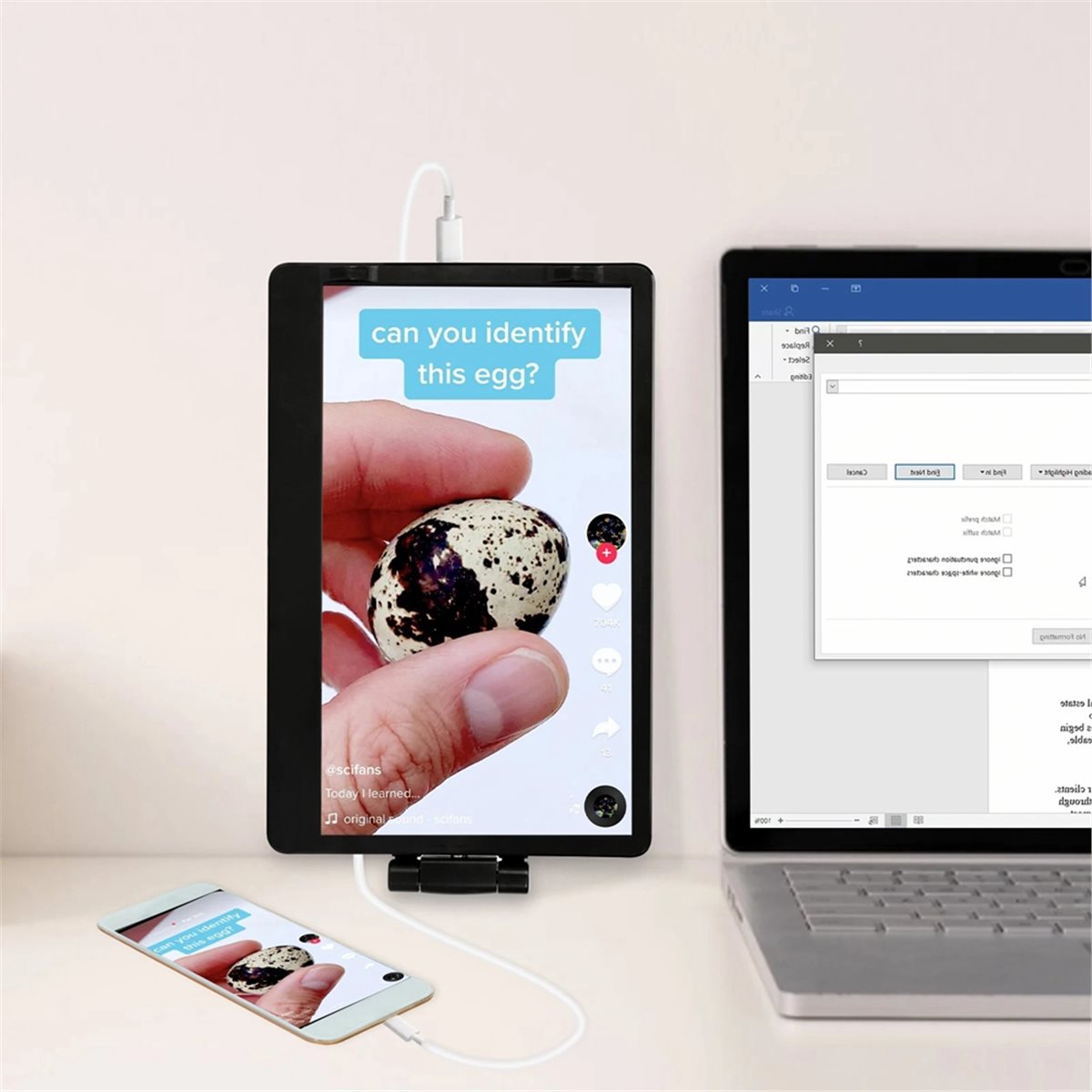 Se puede comprar una pantalla  - Laptop Accessories To Buy reseña y precio